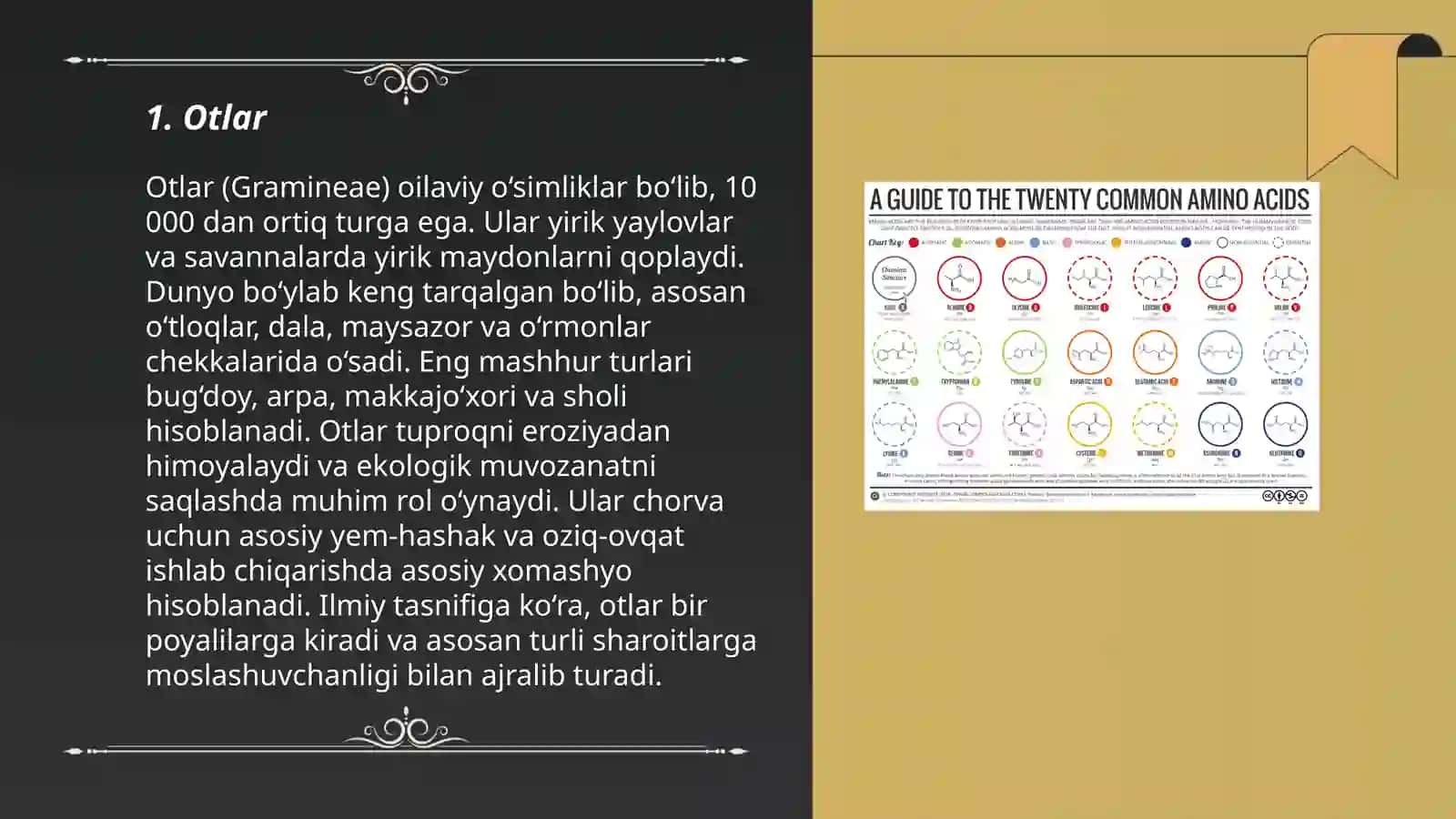 Õzbek tilida mustaqil suz turkumlari 3