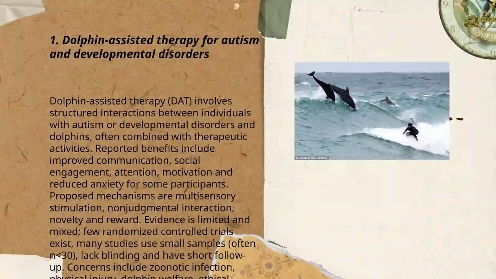 Dolphin-assisted therapy for autism and developmental disorders 3