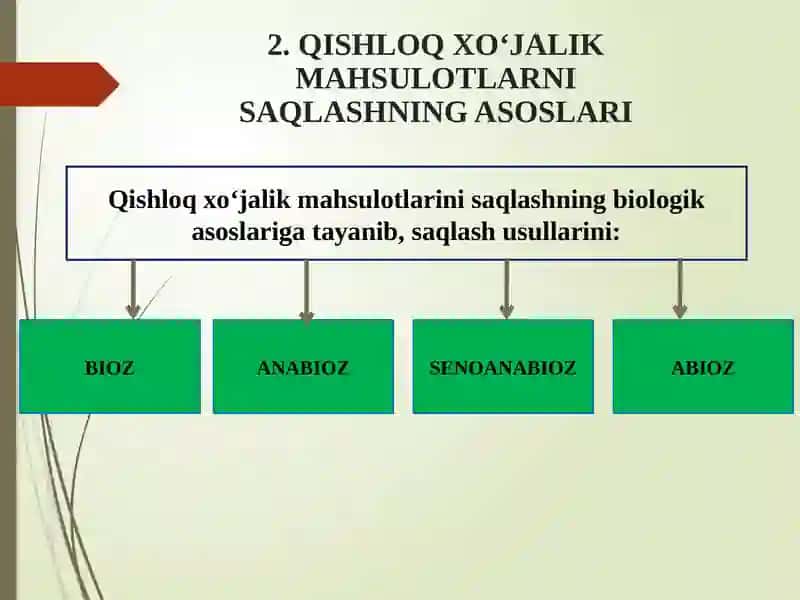Qishloqxoʻjalik mahsulotlarini saqlashning xalq xo‘jaligida ahamiyati va rivojlanishi 3