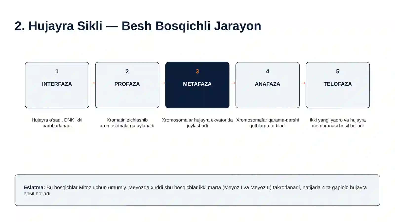HUJAYRA BO'LINISHI 3
