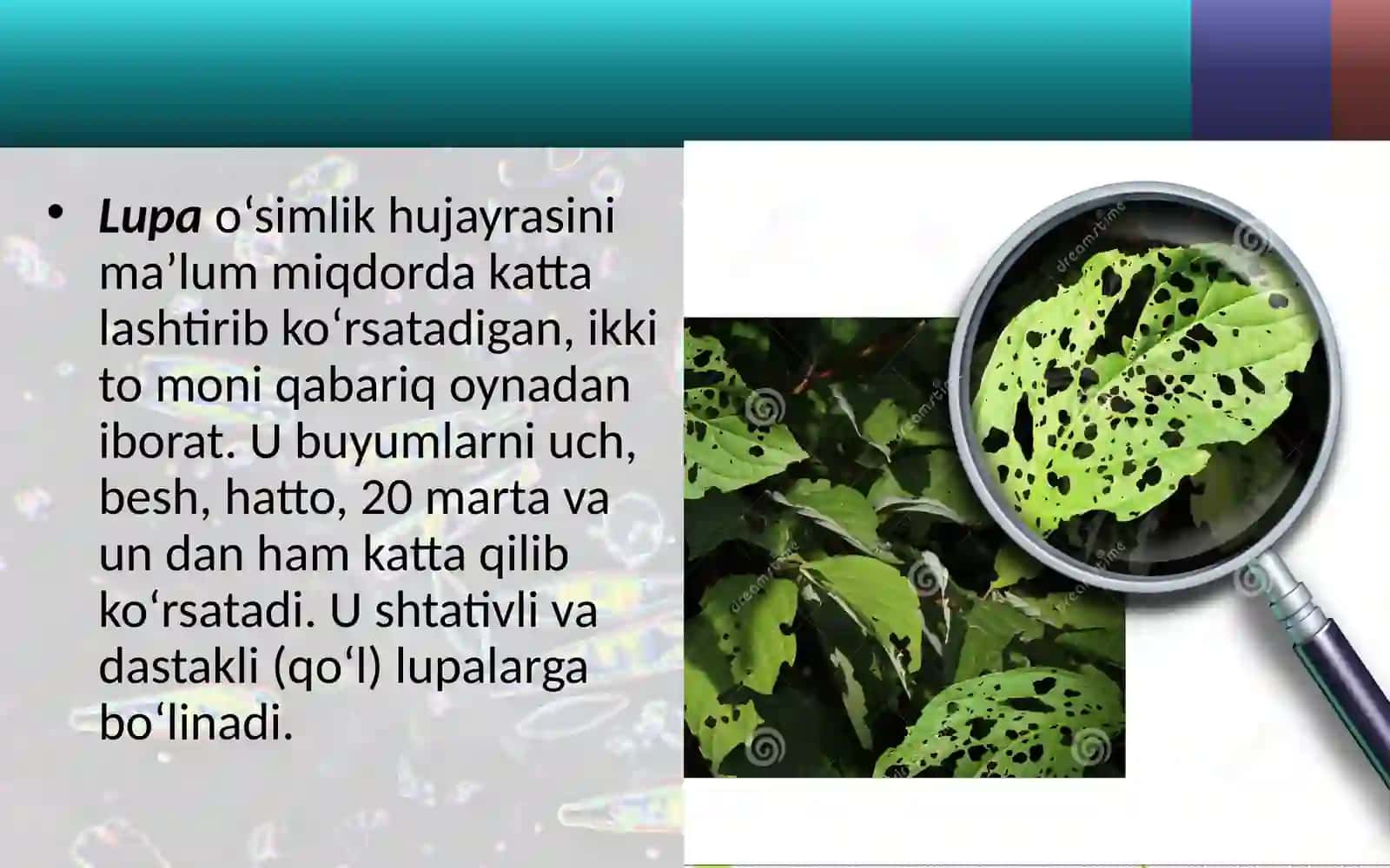 Lupa va mikroskop tuzilishi bilan tanishish 3