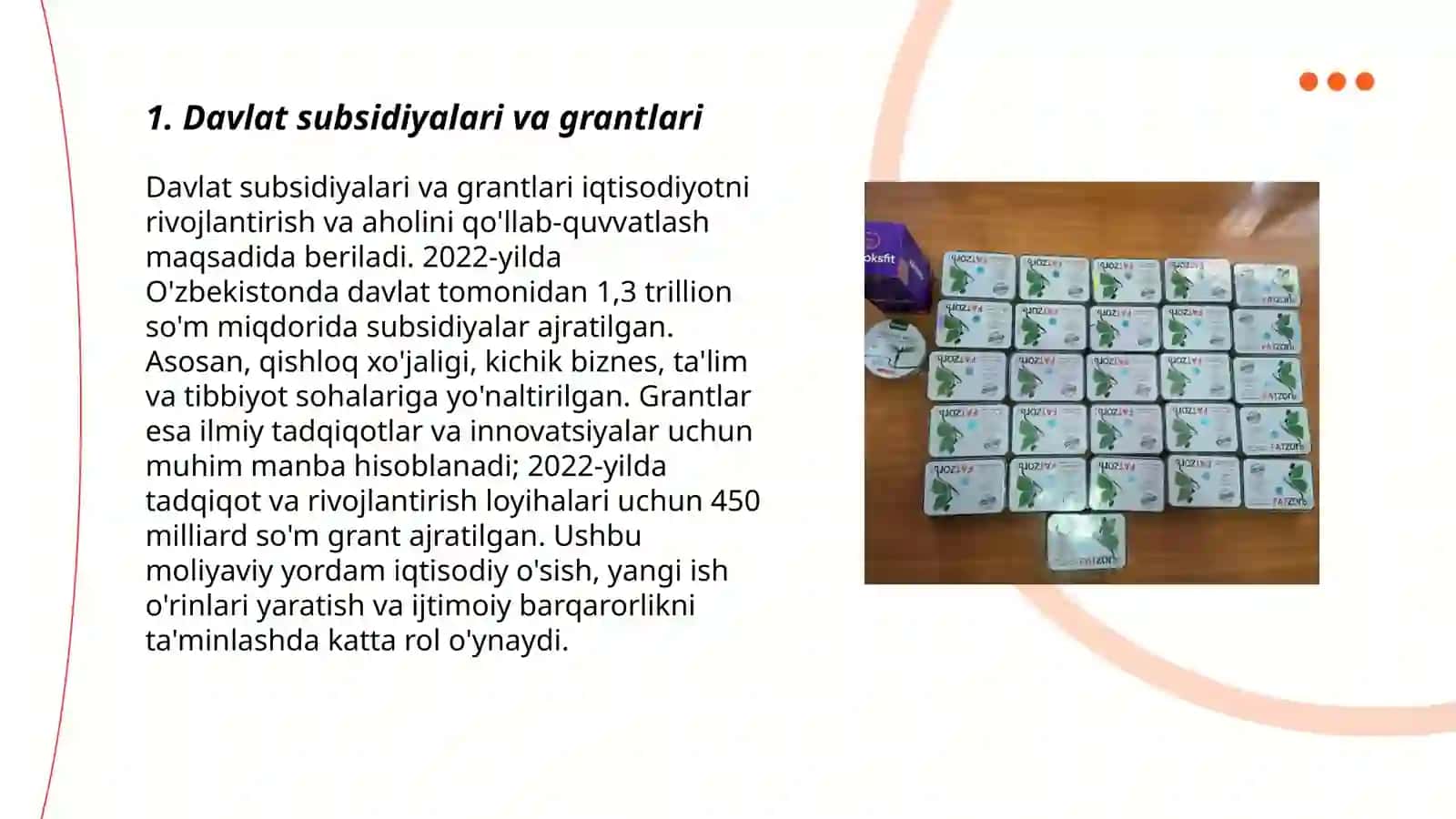 Davlat subsidiyalari va grantlari 3