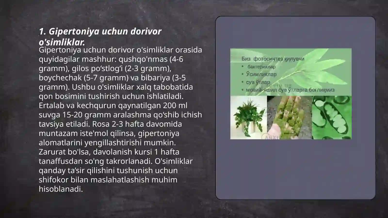 Gipertoniyada qo'llaniladigan o'simliklar va ularning fitopreparatlari 3