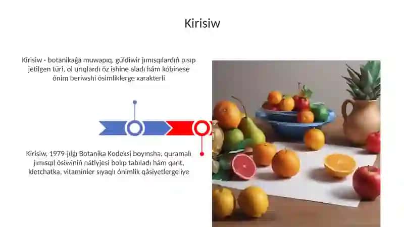 Miywelerdiń klassifikaciyası 3