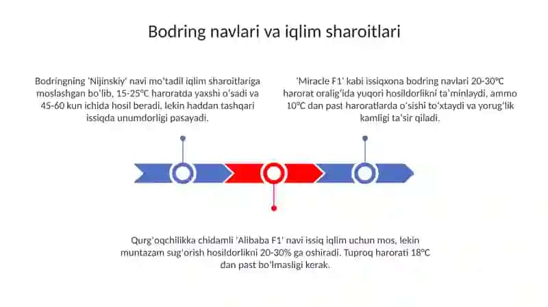 Bodiring Yetishtirish Texnologiyasi 3