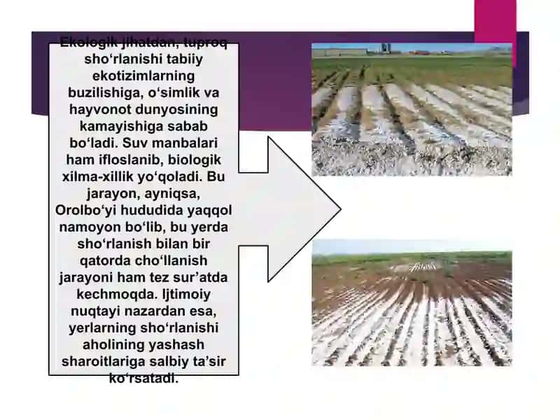 O‘zbekiston tuproqlar sho‘rlanish muammoasi va uni oldini olish chora-tadbirlari 3