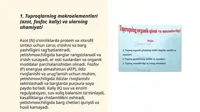 Tuproqlarning kimyoviy tarkibi va organik qismi ularning ahamiyati 3
