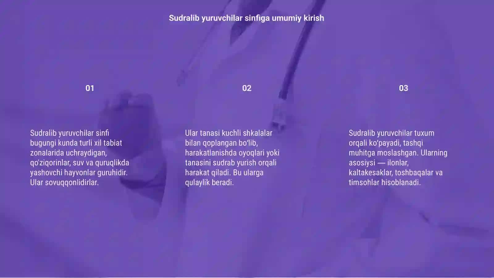 Sudralib yuruvchilar(reptilia) sinfi vakillarining umumiy tavsifi va tashqi tuzilishi 3