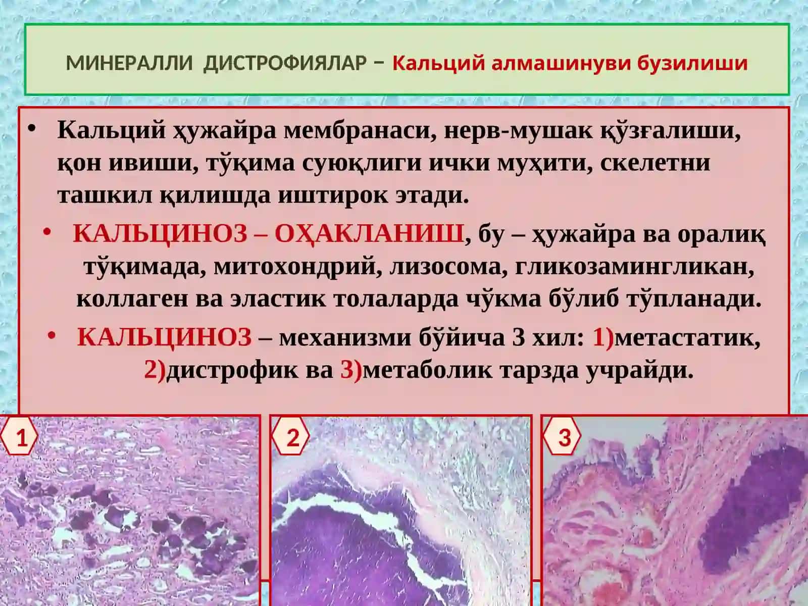 Минераллардан: кальций, калий, мис ва темир алмашинуви бузилиши муҳим амалий аҳамиятга эга 3