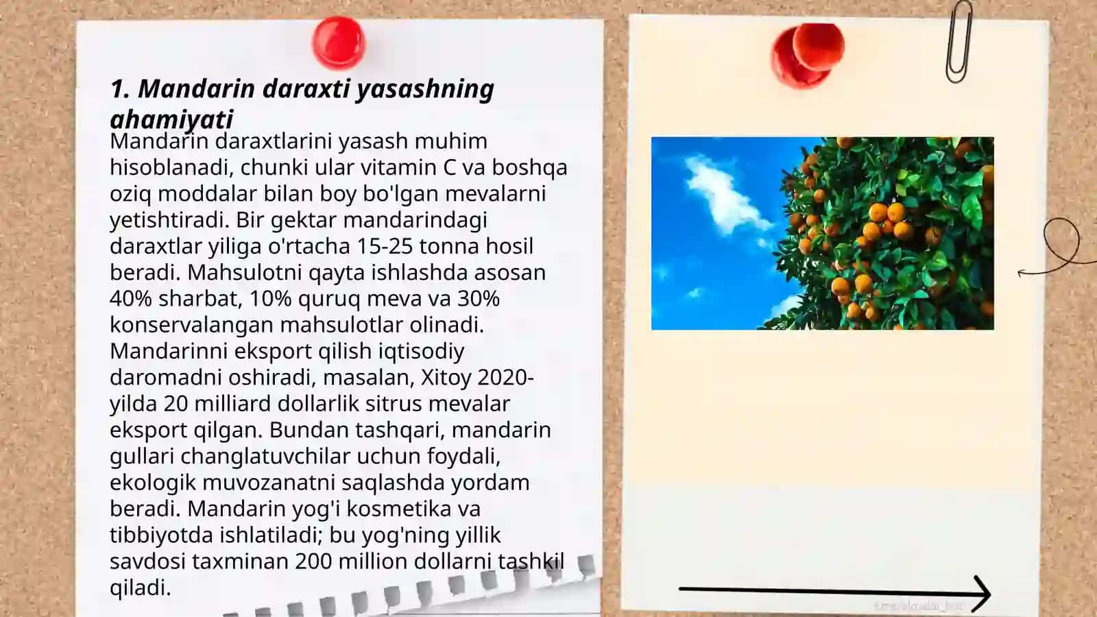 Boshlangʻich sinflarda mandarin daraxti yasash metodikasi 3