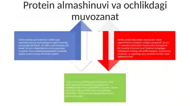 Oqsillar Almashinuvining Patofiziologiya (Chala Va To'Liq Ochlik) 3