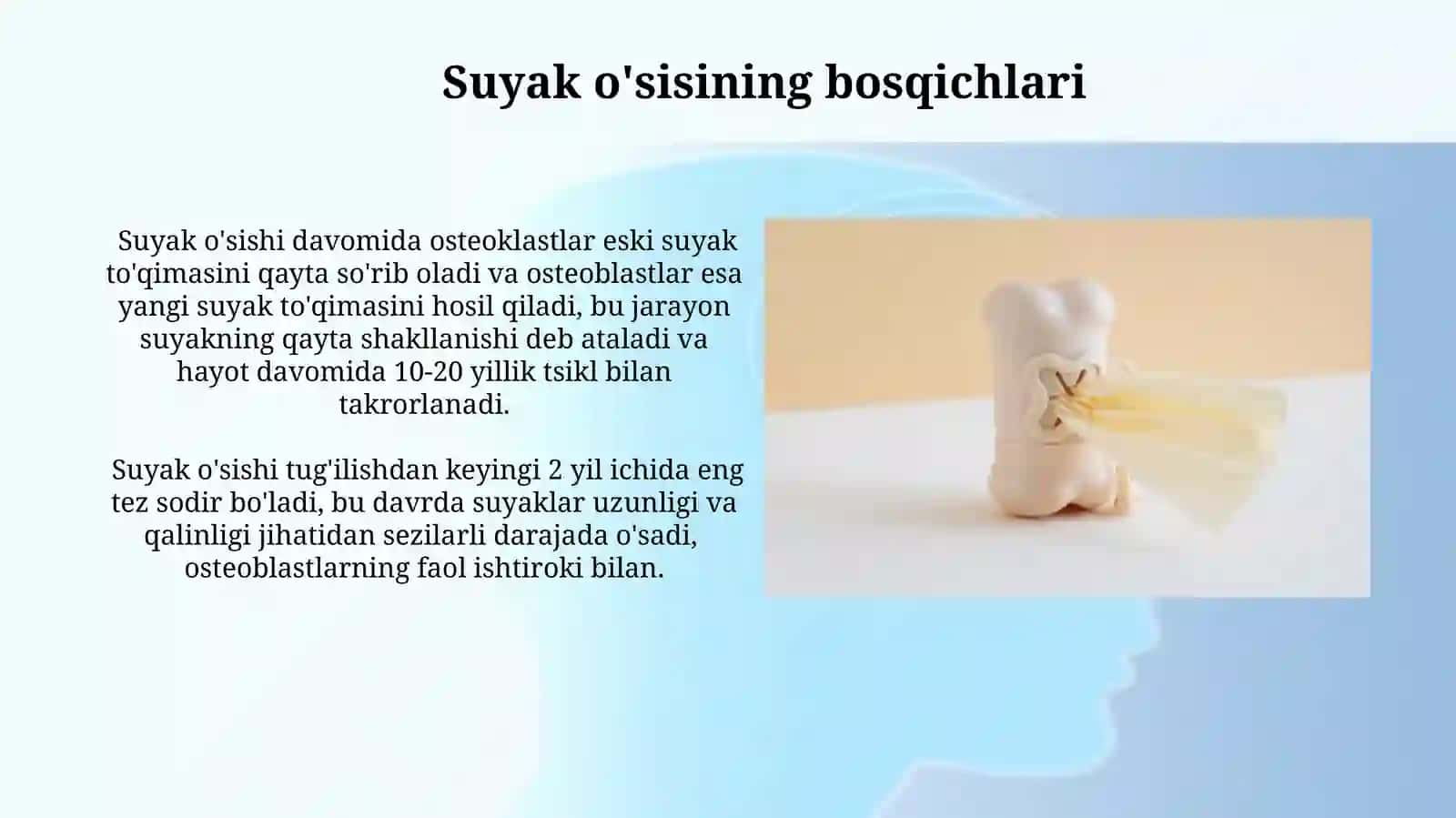 Suyaklarning oʻsishi va taşır etuvchi omillar 3
