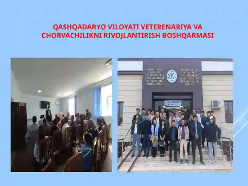 Eshmurodov Burxonning Malakaviy Amaliyot Taqdimoti 3