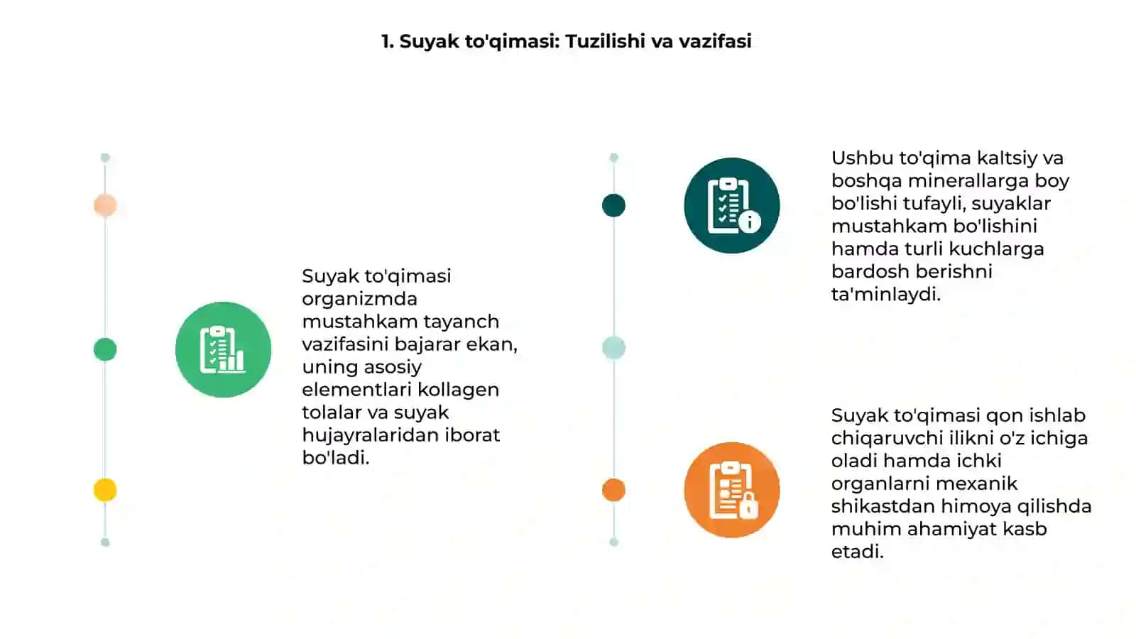 Suyak to'qimasi va muskul to'qimasi 3