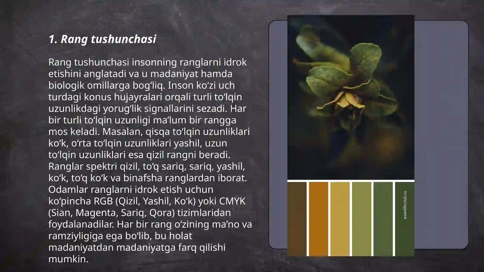 Rang tushunchasi 3