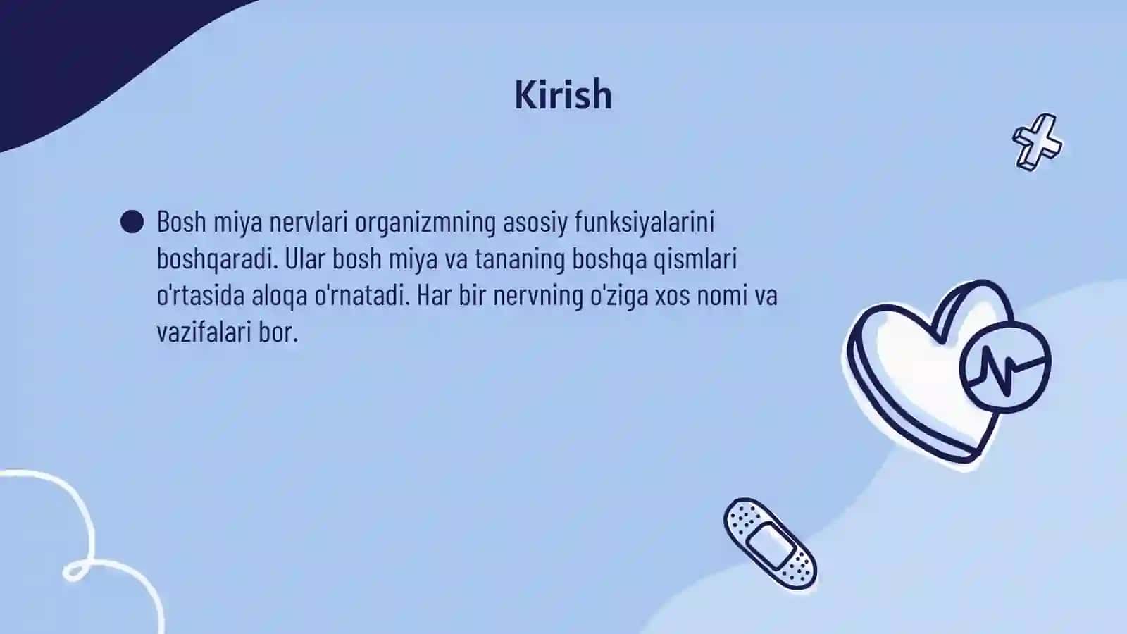 Bosh miya nervlari va ularning nomlari 3