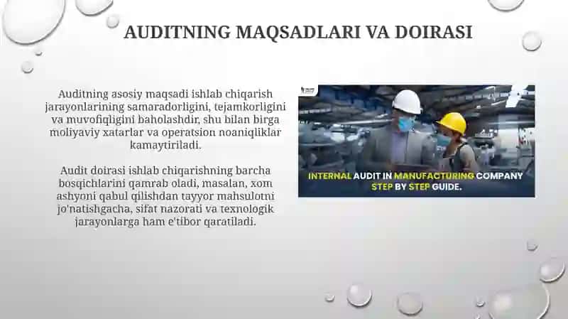 Asosiy ishlab chiqarish sektorlarini auditdan o'tkazish tartibi 3