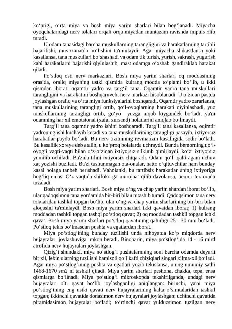 BOSH MIYA VA ORQA MIYA QOBIQLARI. ORQA MIYA. TUZILISHI VA O‘TKAZUVCHI TIZIMLARI 3