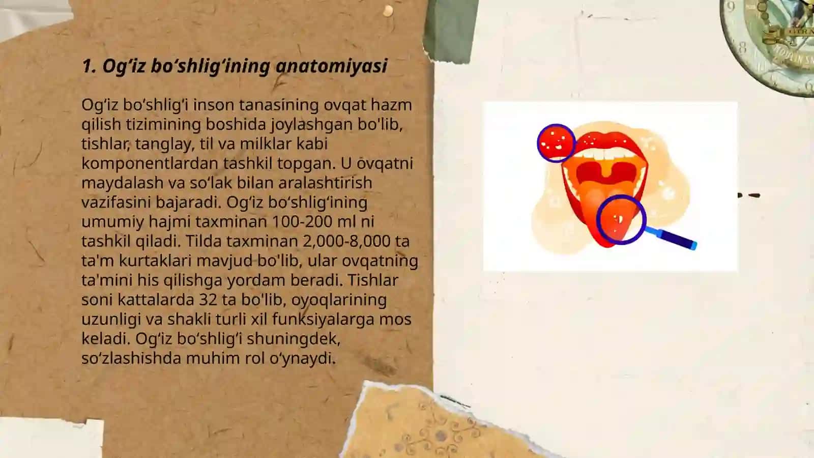 Normal fiziologiya fanidan mustaqil ish 3