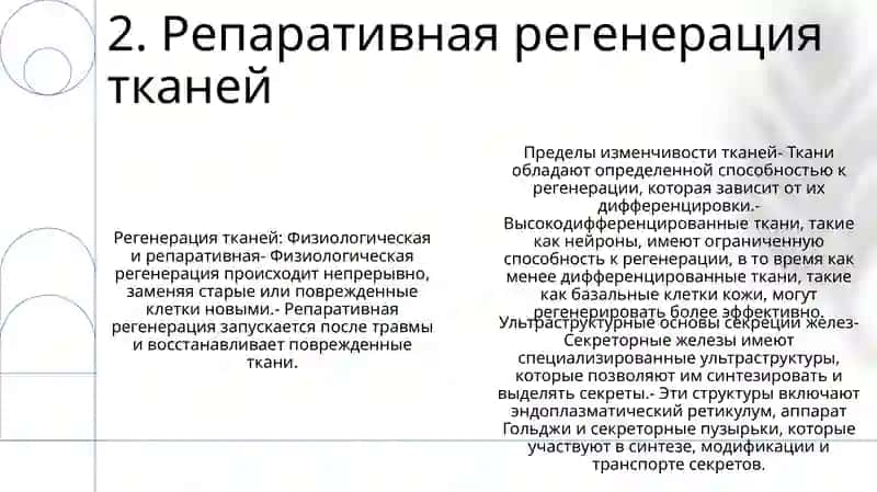 Физиология тканей и регенерация 3
