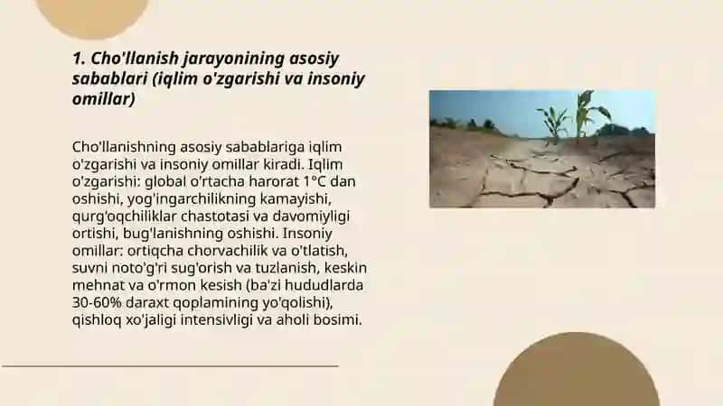 Cho'llanish jarayoni va uning oqibatlari 3