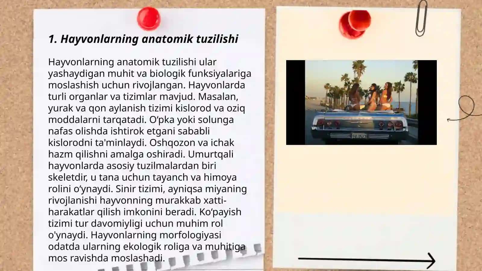 Chuliyeva Shaxina Ahmadovna - Hayvonlarning anatomik tuzilishi 3