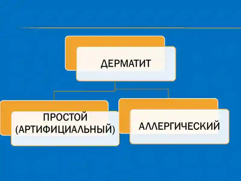 Дерматит 3