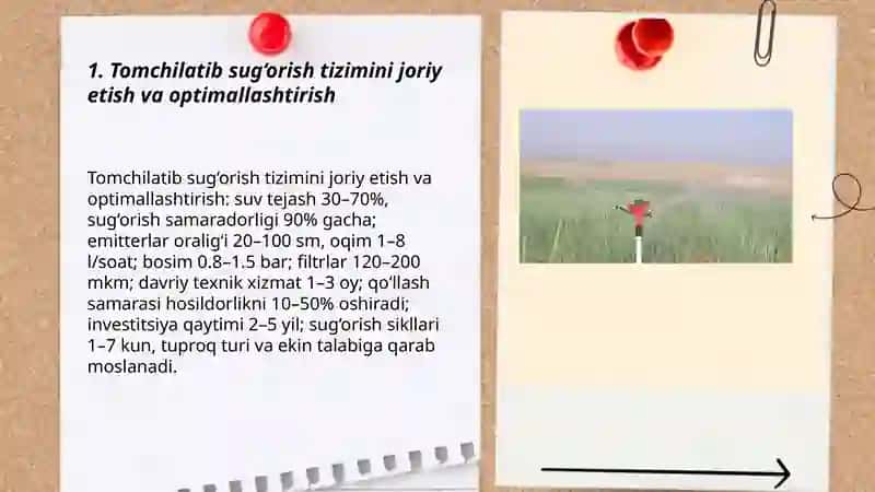 Tomchilatib sug‘orish tizimini joriy etish va optimallashtirish 3