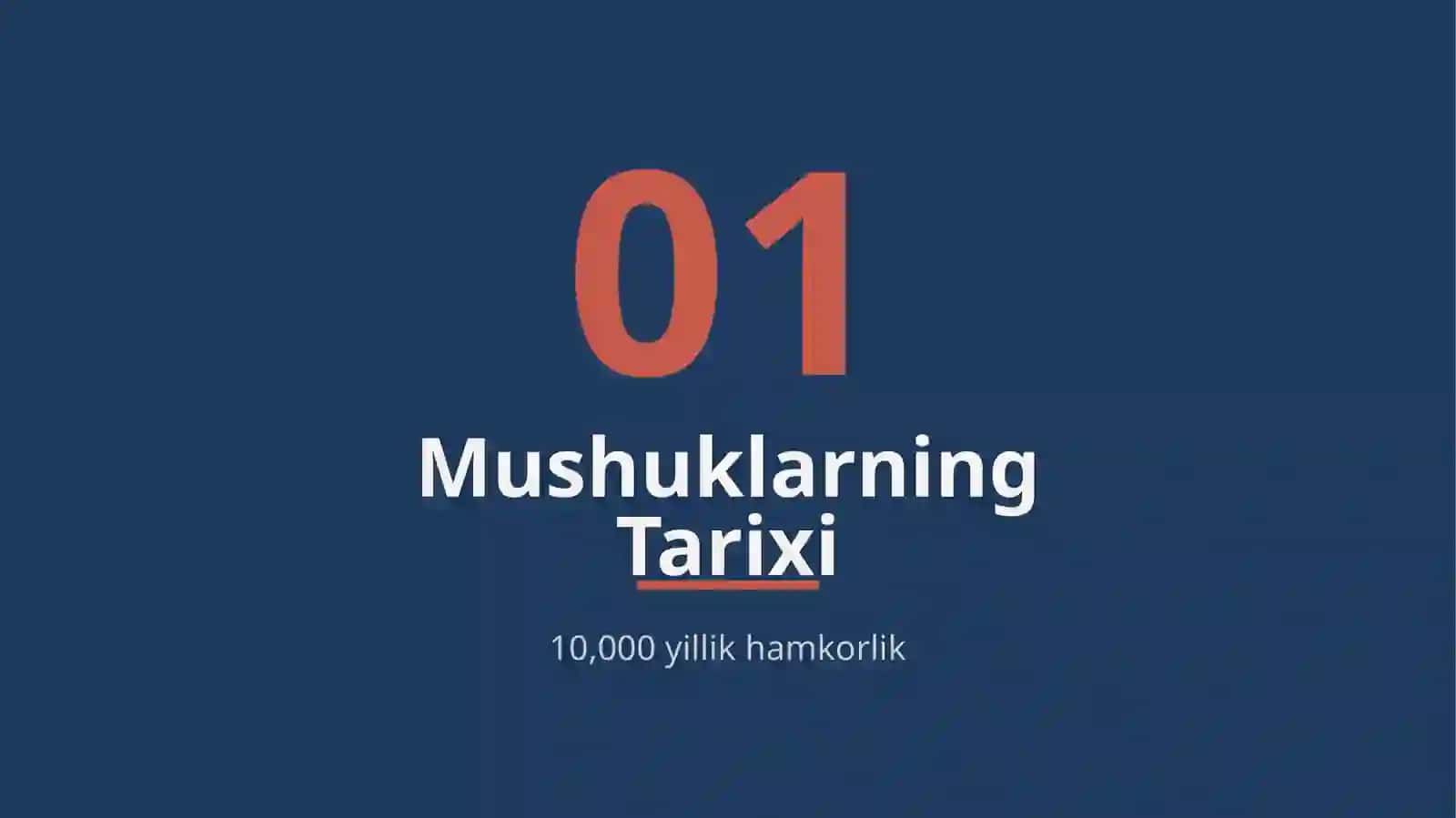 Mushuklar dunyosi 3
