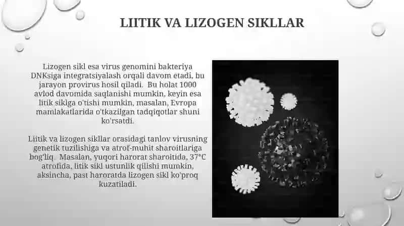 Viruslar hayotning hujayrasiz shakllari 3