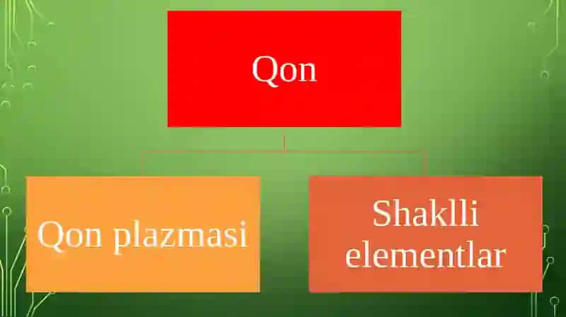 qonning kimyoviy tarkibi 3