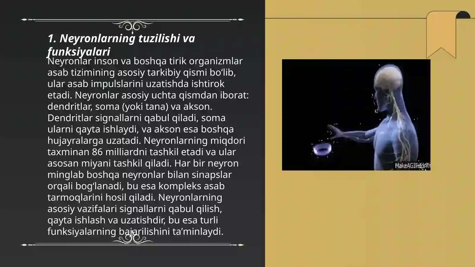 Xulq atvor psixologiyasining nerv-fiziologik asoslari 3