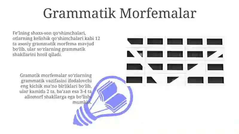 Morfologik Ko'rsatkichlar 3