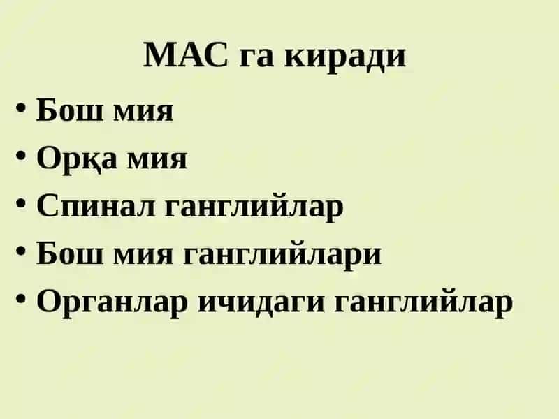 МАТ фаолиятининг рефлектор тамойилари. Асаб марказларнинг хоссалари 3