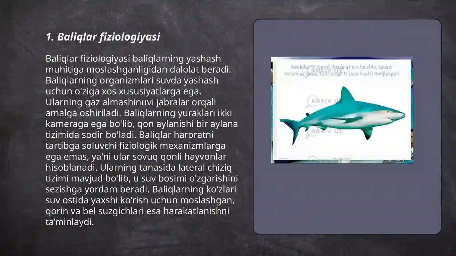 Baliqlar katta sinfi - Pisces, baliqlarning sistematikasi 3