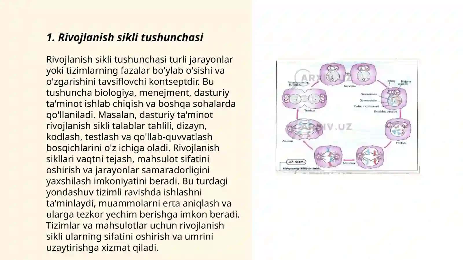 Rivojlanish sikli haqida tushuncha 3