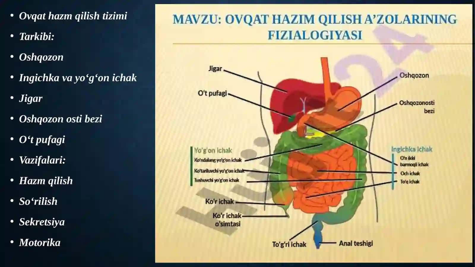 OVQAT HAZM QILISH A’ZOLARI KASALLIKLARIDA ZAMONAVIY FIZIOTERAPIYA USULLARINI QO’LLASH 3