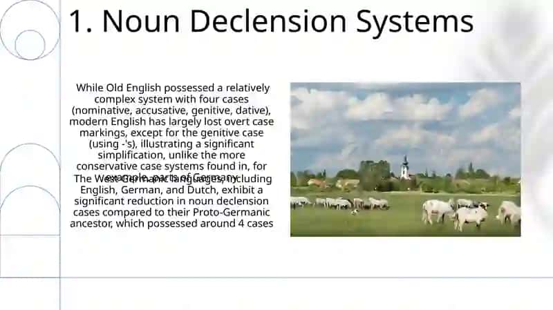 Identical features of Western Germanic languages 3