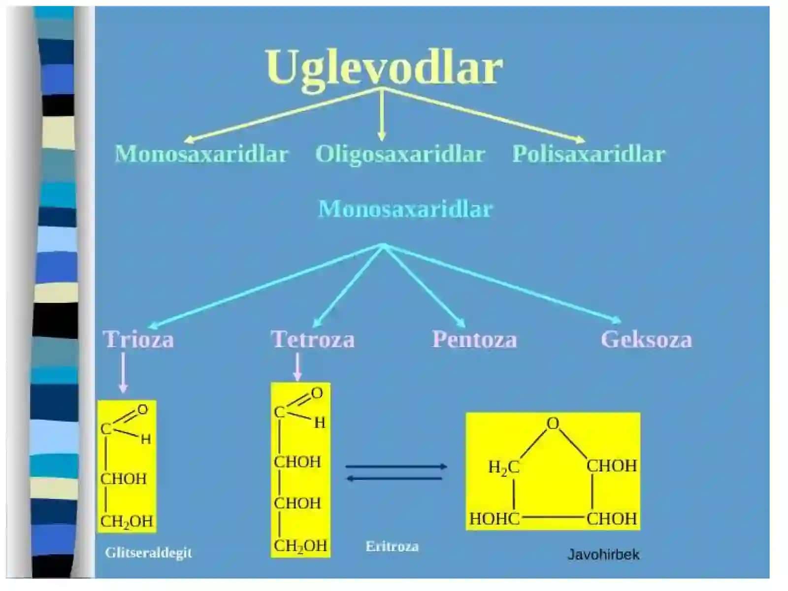 Uglevodlar.Lipidlar.Fermentlar.Vitaminlar 3