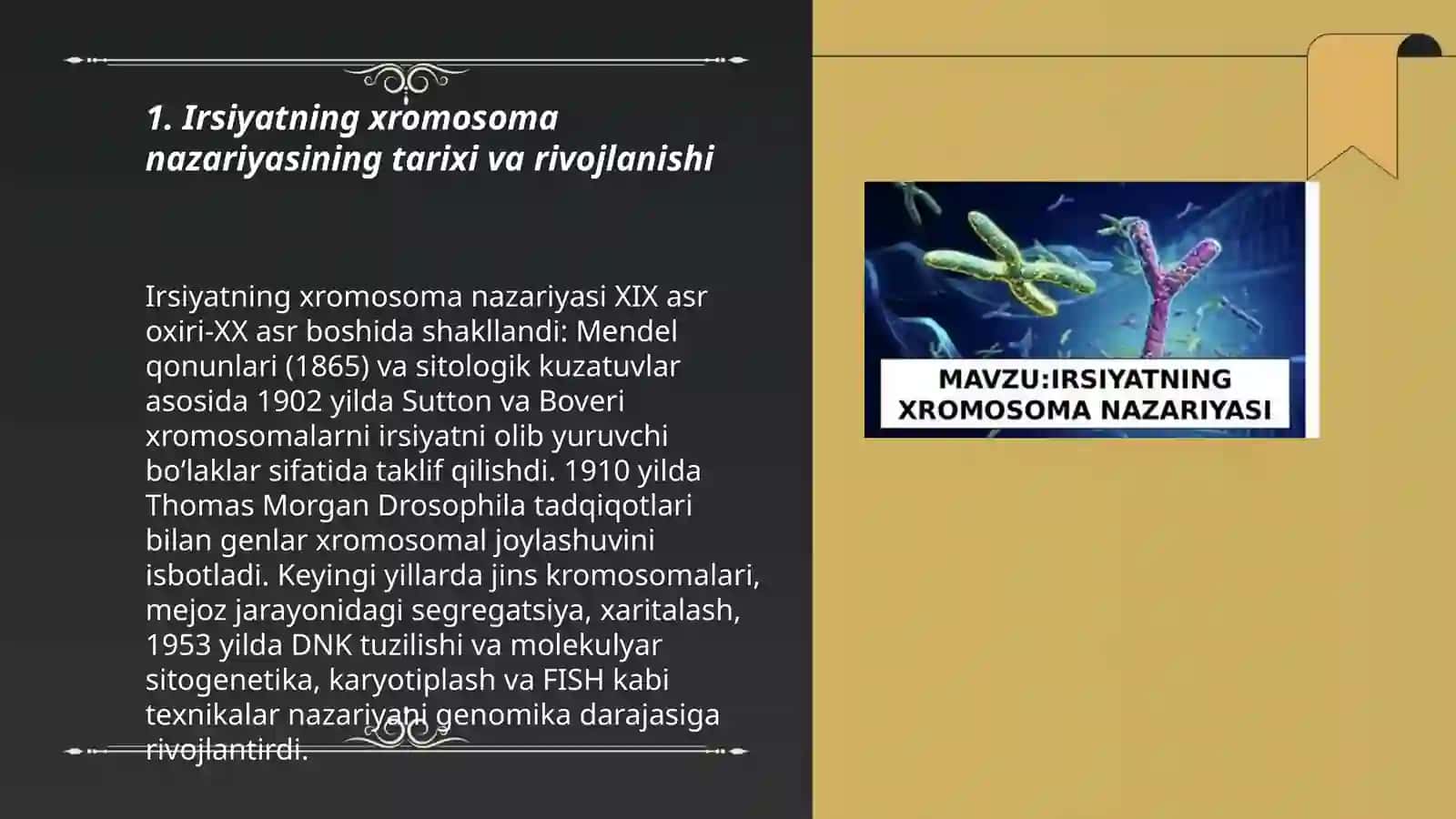 Irsiyatning xiromasoma nazariyasi 3