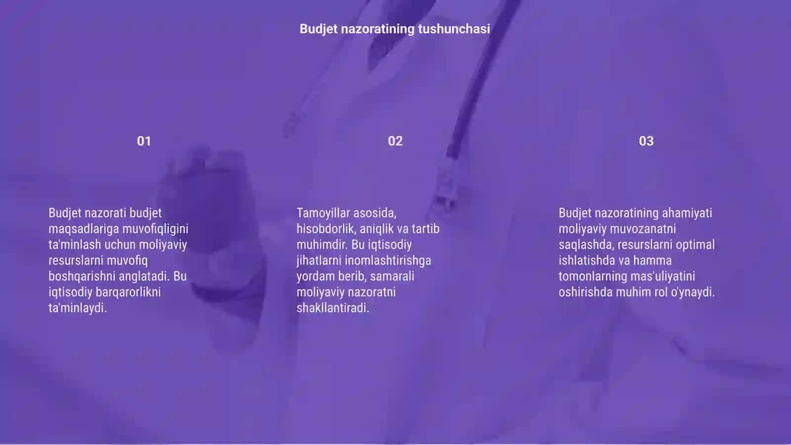 Budjet nazorati 3