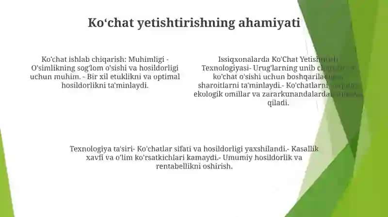 Issiqxonalarda Ko'Chat Yetishtitish Texnologiyasi 3