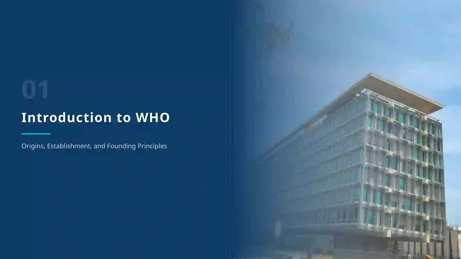 Understanding the Role of WHO in Global Health & Economy 3