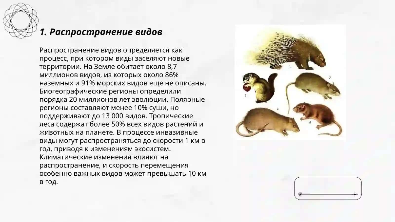 Индо-Малайская зоогеографическая область 3