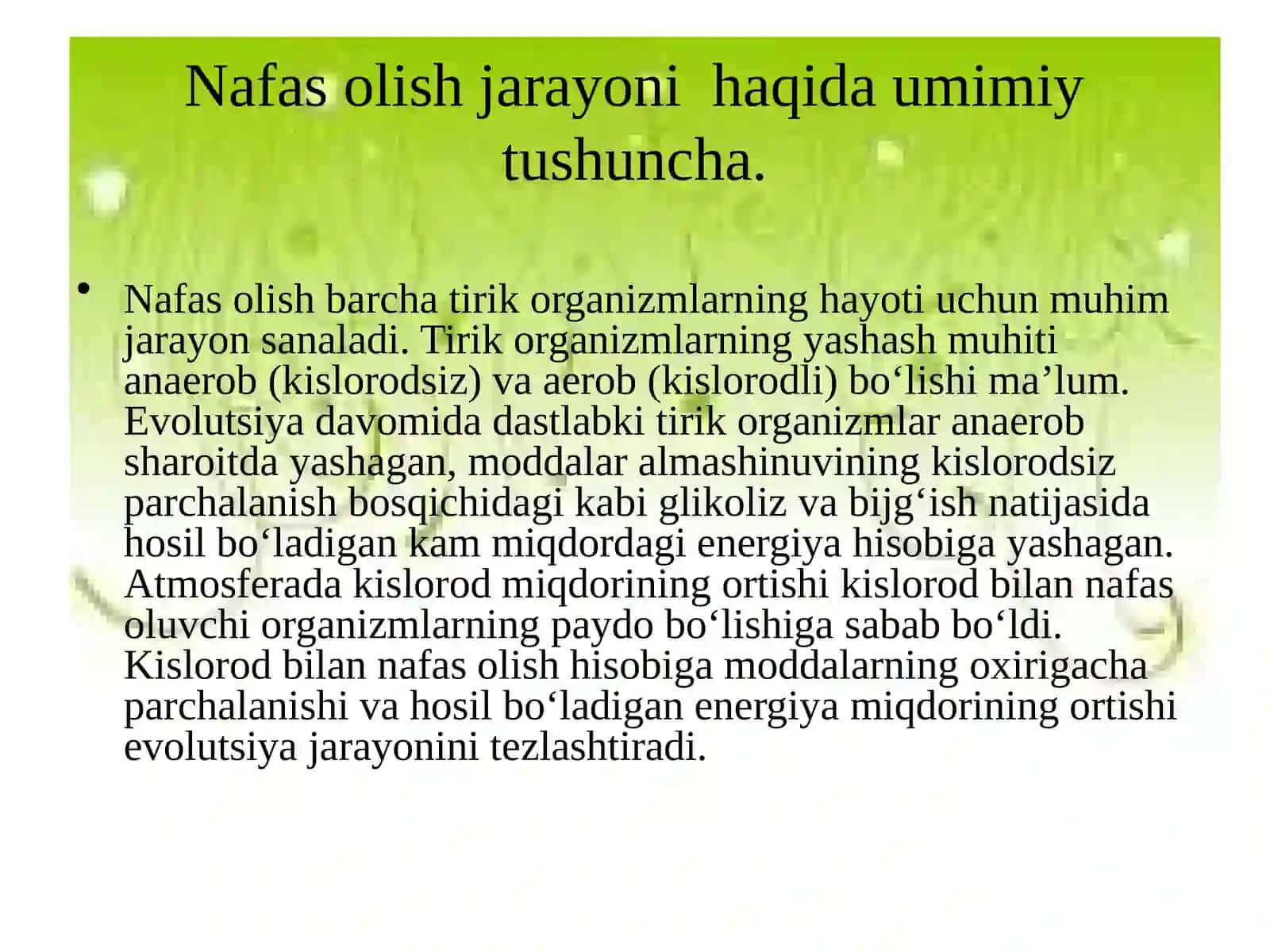 Hayvonlarning nafas olish organlari evolutsiyasi 3