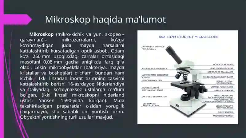 Mikroskop 3