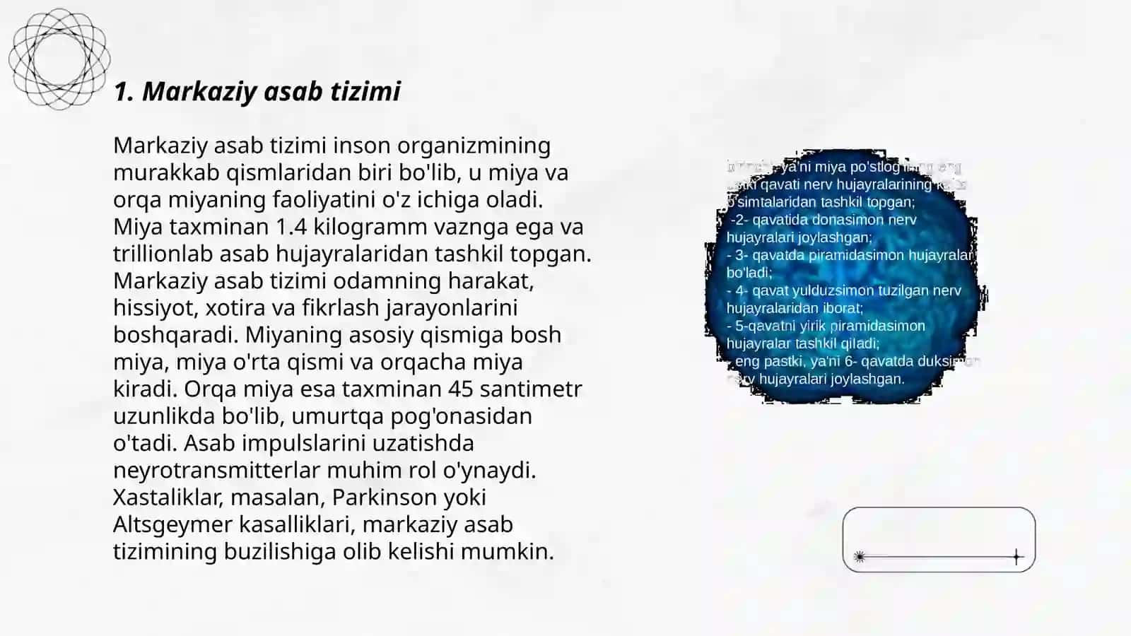 Markaziy asab tizimi 3