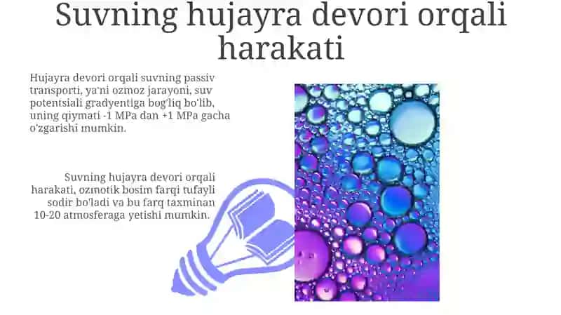 Hujayraning so‘rish kuchi, suvning shimilishi va harakati 3
