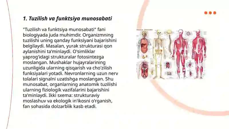 Anatomik terminlarning tuzilishi 3