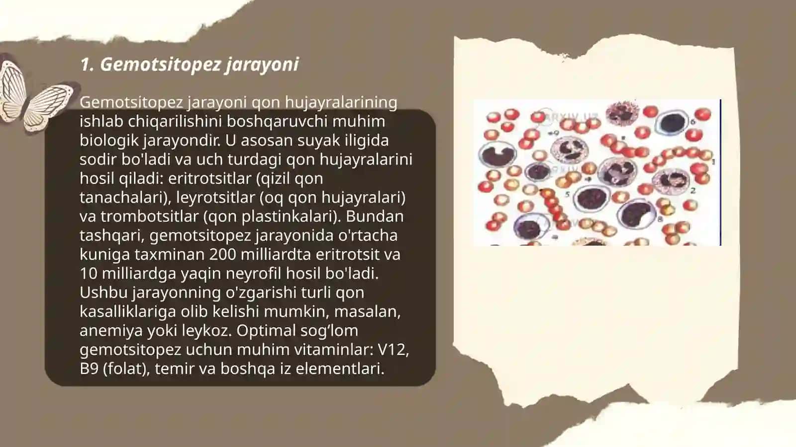 Gemotsitopez va uning bosqichlari 3